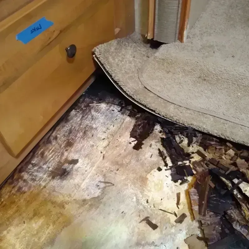 Wood Floor Water Damage in Sterling, KS